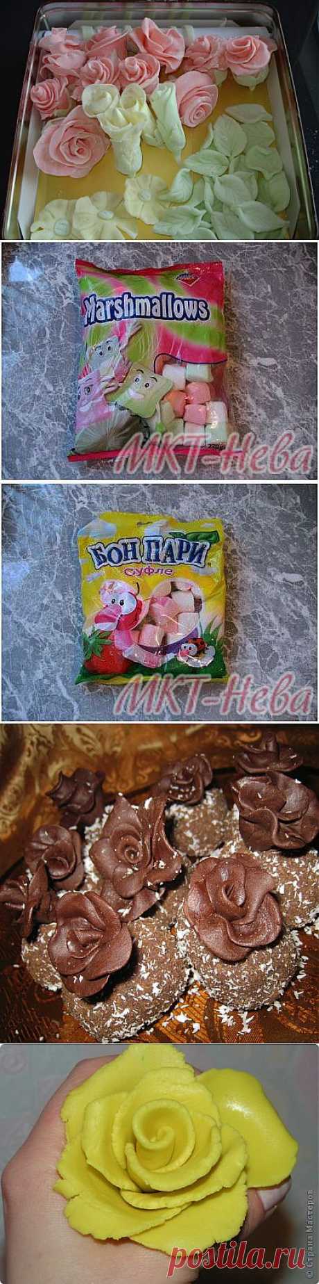 Без заголовка.
