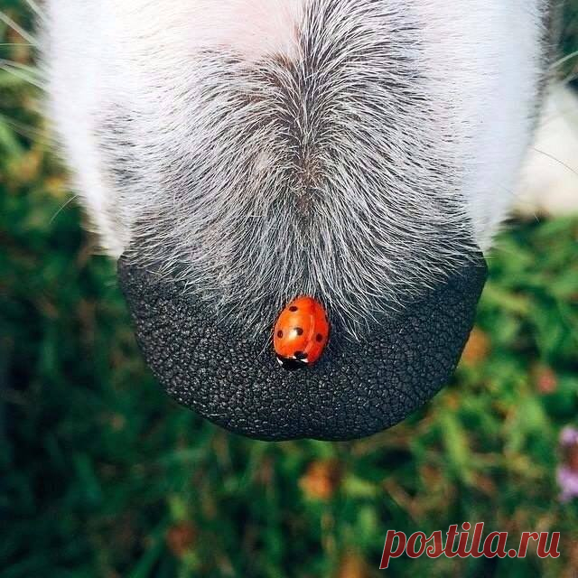 SuperCoolPics.com - Публикации