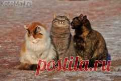 Apskatīt ziņojumu - Inbox Mail