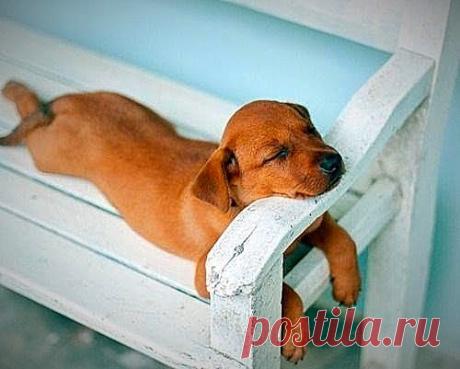 Нужно уметь отдыхать, особенно от своих мыслей Согласны?