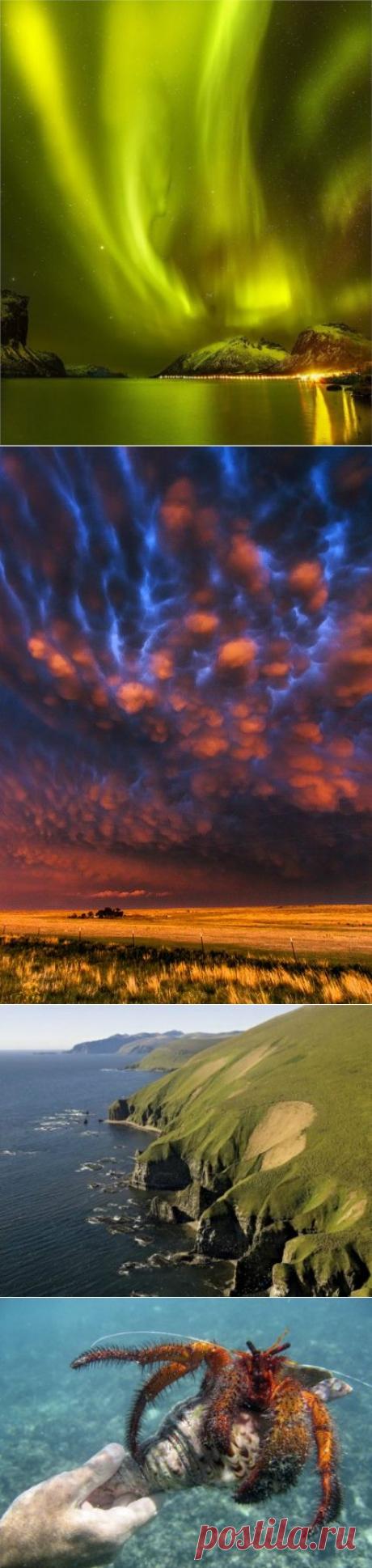 15 фотографий, на которых удалось запечатлеть редкие природные явления