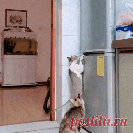 Почти идеальное преступление