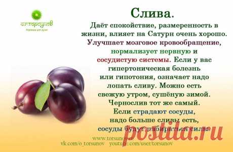 Слива