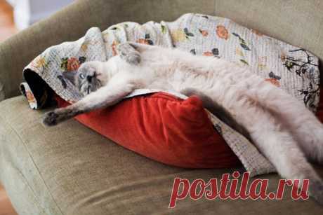 Усадьба кафе, банкетный зал, Пермь