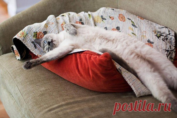 Усадьба кафе, банкетный зал, Пермь