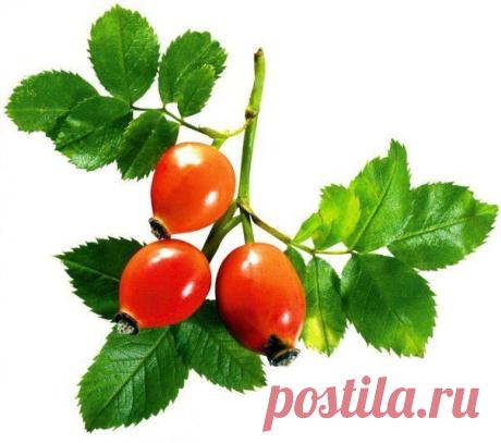 ЖЕНСОВЕТ: кулинария, красота, рукоделие | ВКонтакте