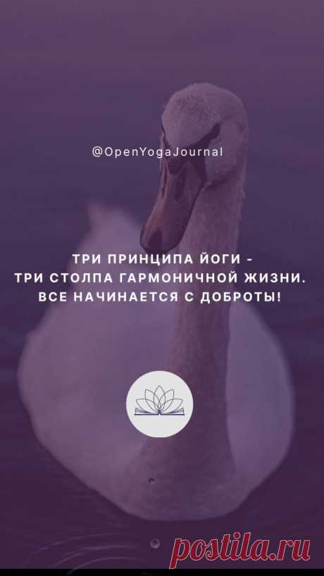 Порой в жизни наступает такой этап, когда теряются ориентиры, всё смешивается, путается. Старая система принципов и убеждений, которая казалась вполне гармоничной, рушится. Возникают сомнения в своих силах, тяжело закончить начатое и добиться поставленных целей. Что делать в такие моменты? Как не сбиться с пути и не навредить себе и другим?