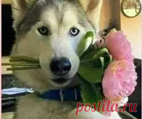 Смешные, прикольные и интересные картинки 🤣 Скачать прикольные и смешные фотки