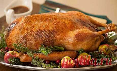 Рецепты гуся в духовке – как приготовить вкусного гуся, чтобы он был мягким и сочным Гусь, запеченный в духовке с хрустящей корочкой. Рецепты приготовления вкусного гуся в духовке, чтобы мясо получилось мягким и сочным.