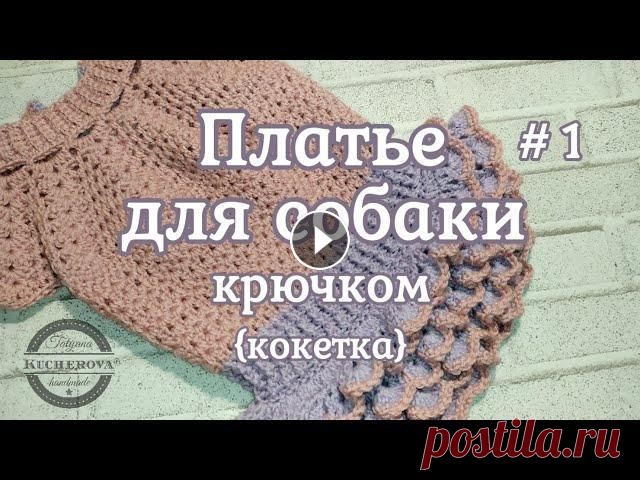 Платье для собаки, вязание крючком, часть 1 кокетка Платье для собаки крючком. Часть 1, в которой мы свяжем круглую ажурную кокетку. Подробный мастер класс для начинающих и не только. Будьте всегда модн...