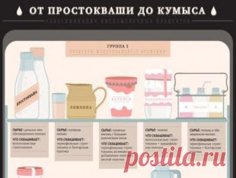 Кисломолочные продукты: как получаются и чем различаются. Инфографика | Продукты и напитки | Кухня | Аргументы и Факты