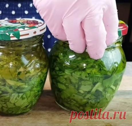 Щавель


Заготовить щавель на зиму дело нехитрое, но полезное.Тем более,что зимой организм требует разнообразия. Зимой из него можно будет не только сварить любимый многими супчик, но и добавить его
в борщ, и даже испечь пирожков с зеленой начинкой.


Щавель промываем под проточной водой, перебираем, обсушиваем
нарезаем.
В стерилизованные банки очень плотно укладываем щавель и заливаем кипятком. Затем придавливаем щавель ложкой и доливаем кипяток до верху, что называется "...