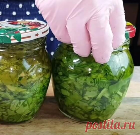 Щавель


Заготовить щавель на зиму дело нехитрое, но полезное.Тем более,что зимой организм требует разнообразия. Зимой из него можно будет не только сварить любимый многими супчик, но и добавить его
в борщ, и даже испечь пирожков с зеленой начинкой.


Щавель промываем под проточной водой, перебираем, обсушиваем
нарезаем.
В стерилизованные банки очень плотно укладываем щавель и заливаем кипятком. Затем придавливаем щавель ложкой и доливаем кипяток до верху, что называется 
