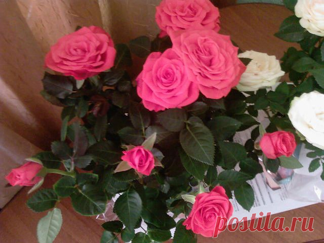Мой Мир@Mail.Ru