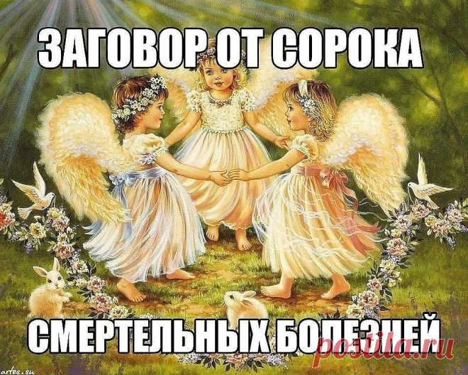 (53) Одноклассники