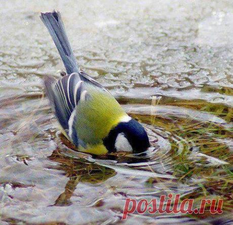 Капельки радости!