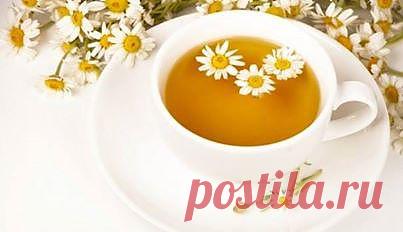 Блог - Привет.ру - 10 лучших напитков, которые поставят вас на ноги при простуде - Личный интернет дневник пользователя evgenij