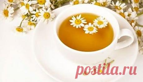 Блог - Привет.ру - 10 лучших напитков, которые поставят вас на ноги при простуде - Личный интернет дневник пользователя evgenij