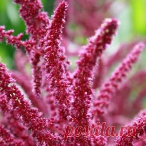 10 лучших народных средств, которые сделают из вас настоящую красавицу