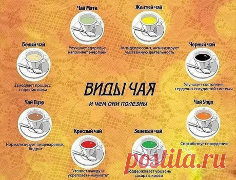 полезные советы инфографика: 4 тыс изображений найдено в Яндекс.Картинках