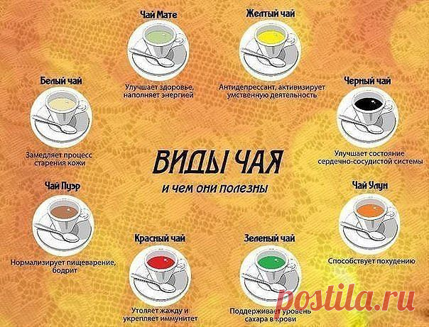 полезные советы инфографика: 4 тыс изображений найдено в Яндекс.Картинках