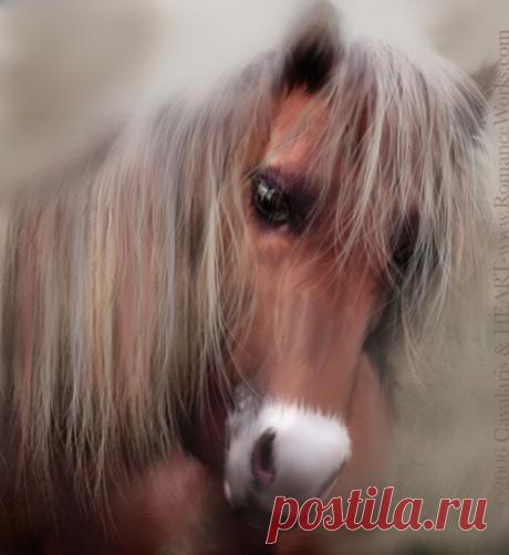 Фотохудожница Кэрол Каваларис. Старые и новые работы | Carol Cavalaris (319 работ) » Картины, художники, фотографы на Nevsepic