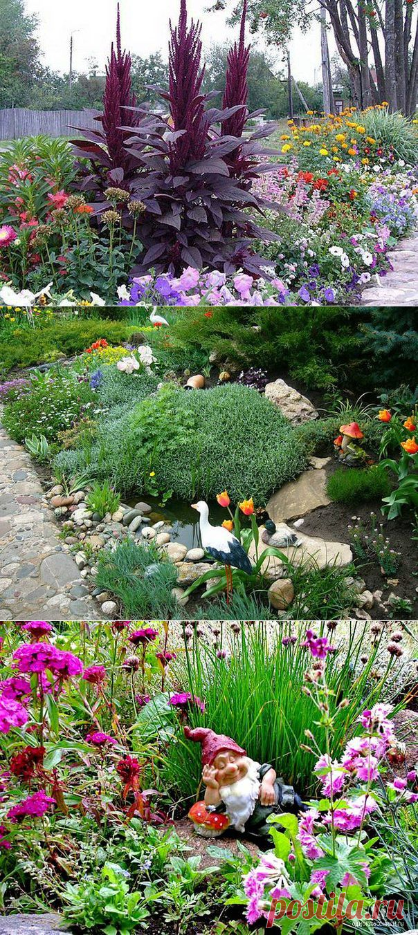 сообщение НАШ_САД : Цветущий рай... (12:06 19-06-2014) [901126/328250250] - natasha_5656@mail.ru - Почта Mail.Ru