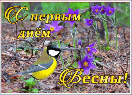 Открытка первый день весны с птичкой | Открытки Онлайн