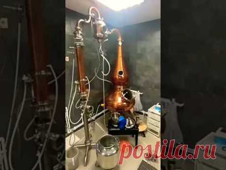 Скажи &quot;НЕТ&quot; водяре 🙅! Видео Друга Андрюхи #виски #дистиллят #медныйсамогонныйаппарат