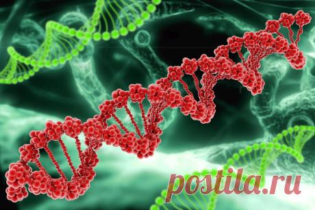 Синдром Марфана

Синдром Марфана – одно из генетически обусловленных диффузных заболеваний соединительной ткани. Сам термин «синдром» уже говорит о комплексной и неясной природе недуга. К сожалению, действительно, во многих случаях он остается вообще не диагностированным и при ...