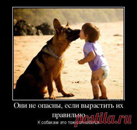 Клятва верности - Человек и Собака....