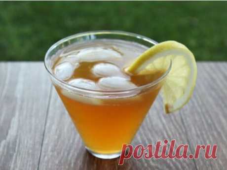 Чайный гриб свойства и противопоказания