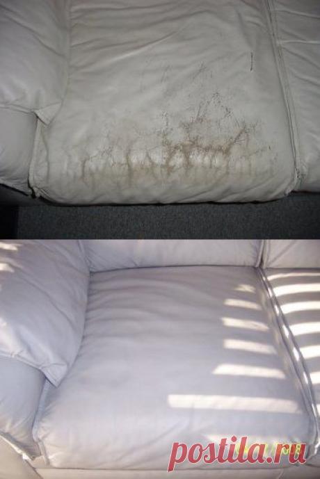 Уход за кожаной мебелью. Как избежать выцветания и трещин