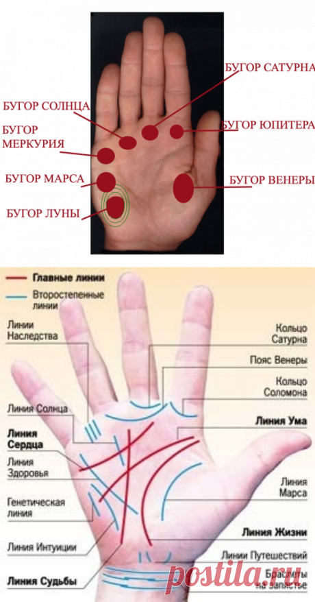 Хиромантия 2