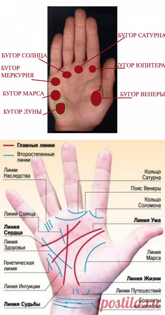 Хиромантия 2