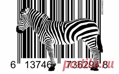 Распознавание штрих и QR кодов | Выживи сам