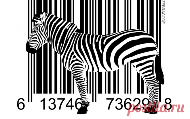 Распознавание штрих и QR кодов | Выживи сам