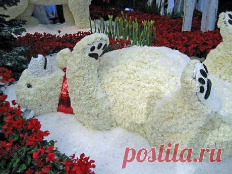 хх