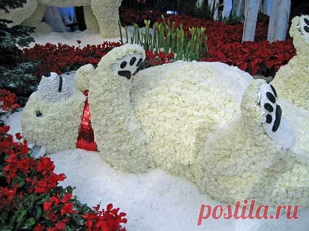 хх