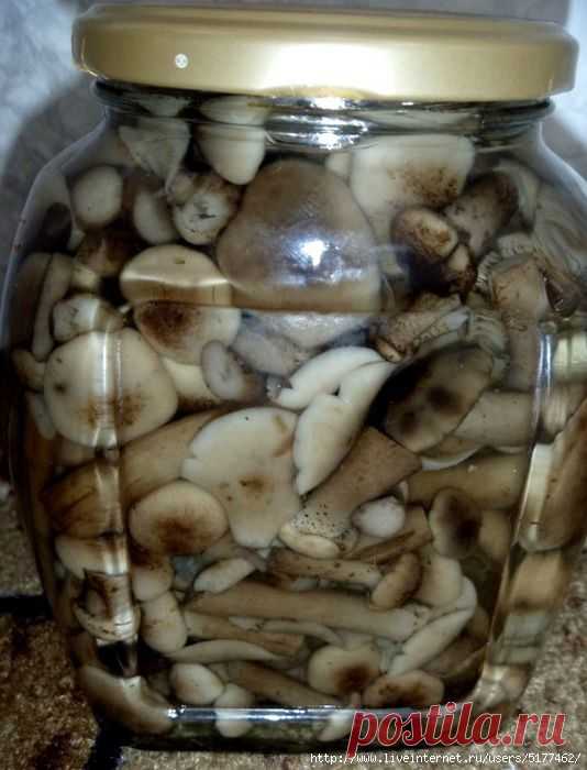 Маринованные грибы .