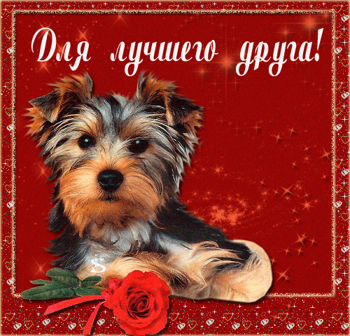 Для лучшего друга