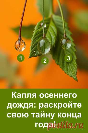Осень всегда хранит в себе тайну — это время подведения итогов и подготовки к новому этапу. Каждая капля дождя отражает подсказку судьбы, которая может открыть, что ждёт впереди. Иногда ответ спрятан в самом простом символе, нужно лишь присмотреться. Конец года приготовил свои события для каждого, и именно осень становится проводником между прошлым и будущим. Узнай, какие перемены и знаки готовит судьба в ближайшие месяцы.