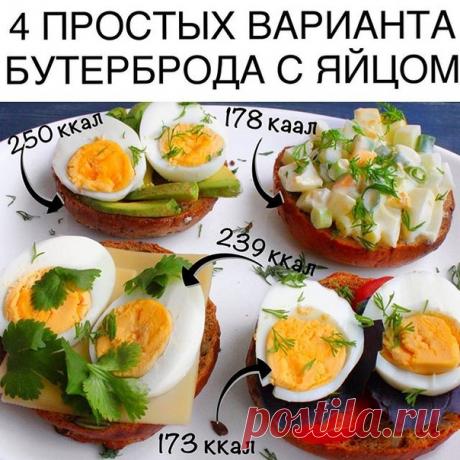 1.Бутерброд с яйцом, помидором и базиликом
Хлеб ц/з 50 г, яйцо 1/2 (около 35 г), помидор 30 г, базилик (или другая зелень)
КБЖУ 173/8/6/21
⠀⠀⠀⠀⠀⠀⠀⠀⠀
2. Бутерброд с яйцом и зелёным луком
Показать полностью…