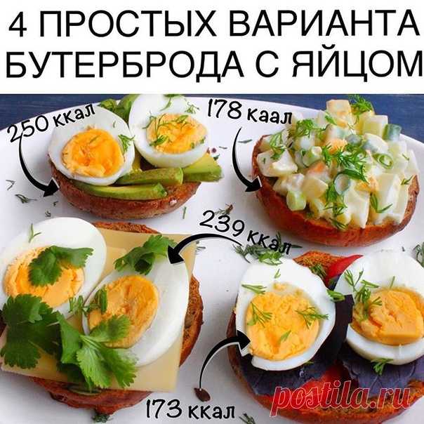 1.Бутерброд с яйцом, помидором и базиликом 
Хлеб ц/з 50 г, яйцо 1/2 (около 35 г), помидор 30 г, базилик (или другая зелень) 
КБЖУ 173/8/6/21 
⠀⠀⠀⠀⠀⠀⠀⠀⠀ 
2. Бутерброд с яйцом и зелёным луком 
Показать полностью…
