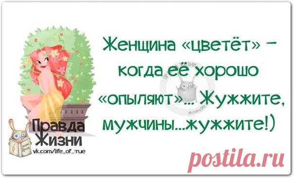 ПОЗИТИВНЫЕ ФРАЗОЧКИ В КАРТИНКАХ ДЛЯ ХОРОШЕГО НАСТРОЕНИЯ