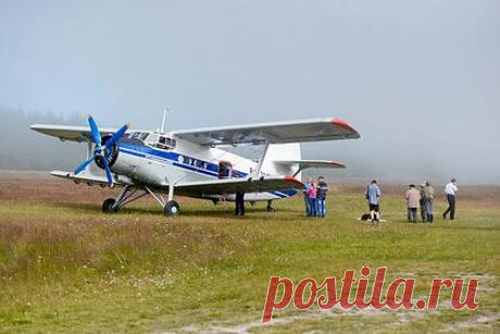 На Урале аварийно сел самолет Ан-2. Под городом Алапаевск в Свердловской области совершил аварийную посадку легкий транспортный самолет Ан-2. Инцидент произошел во вторник, 19 октября. В результате жесткой посадки авиалайнер получил повреждения шасси и обшивки. На борту находились только члены экипажа — командир воздушного судна и пилот.