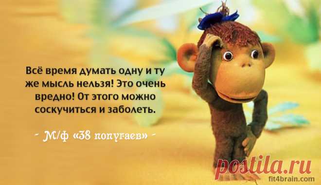 5 мудрых цитат из мультфильмов – Фитнес для мозга