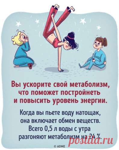 Что будет, если все напитки заменить водой — СОВЕТНИК