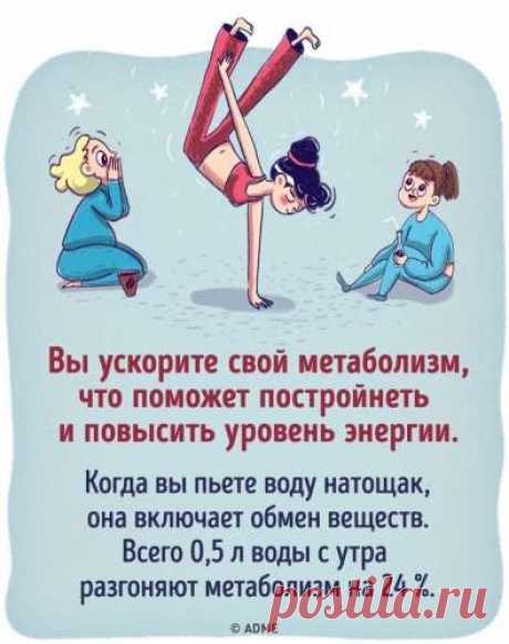 Что будет, если все напитки заменить водой — СОВЕТНИК