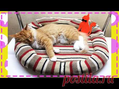 Лежанка для кошки своими руками / мастер класс / diy